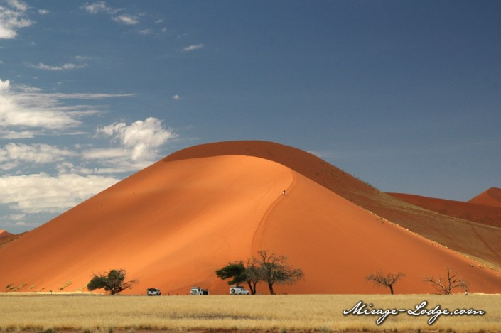 dune45