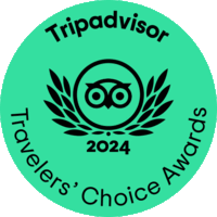 TC_green_winner-gif_L_2024